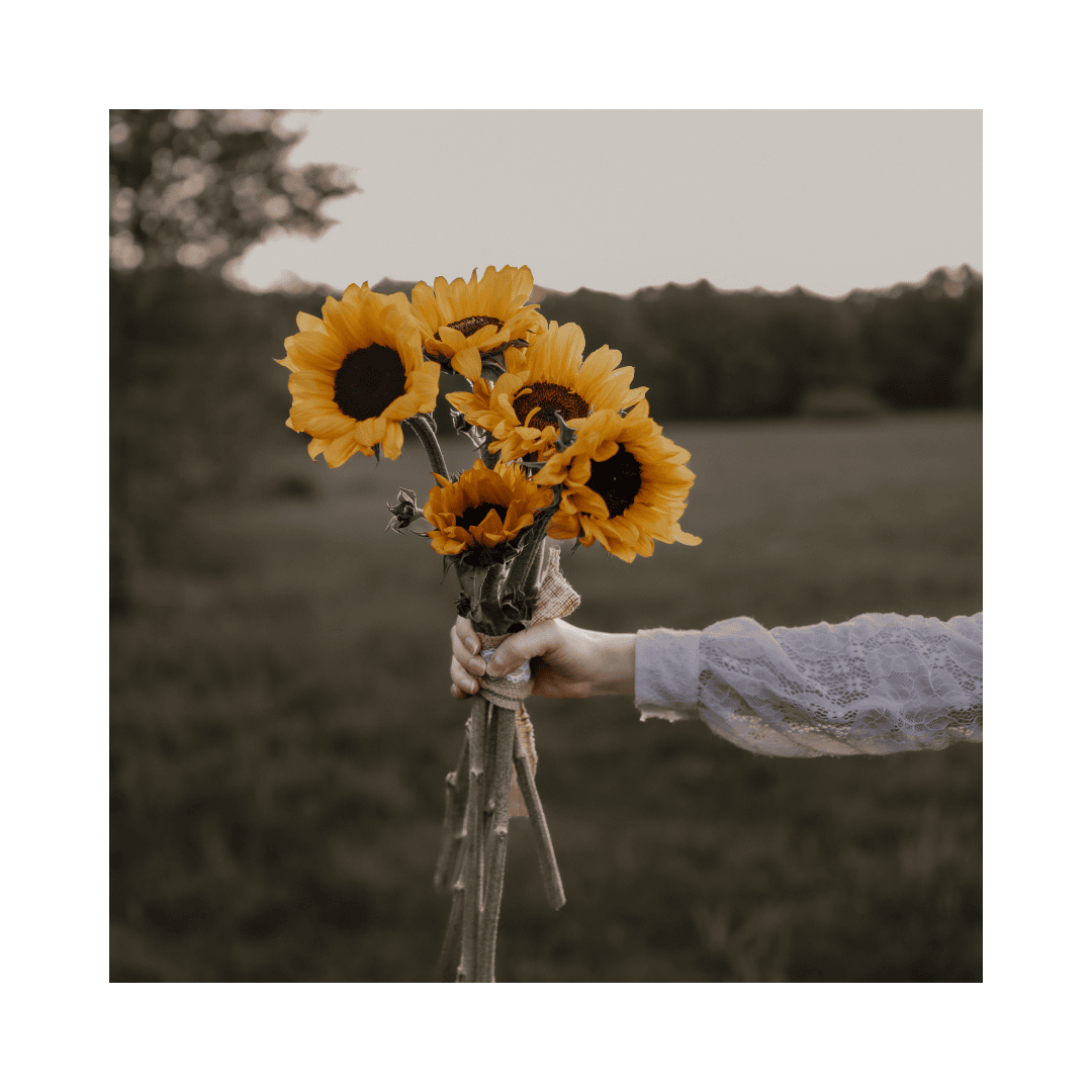 Ein Sonnenblumenstrauß wird ruhig in der Hand gehalten – Symbol für Achtsamkeit und reduzierte Reize. Passend zur Arbeit von Samantha Liston, Traurednerin inklusiv NRW für sensorikfreundliche Zeremonien.