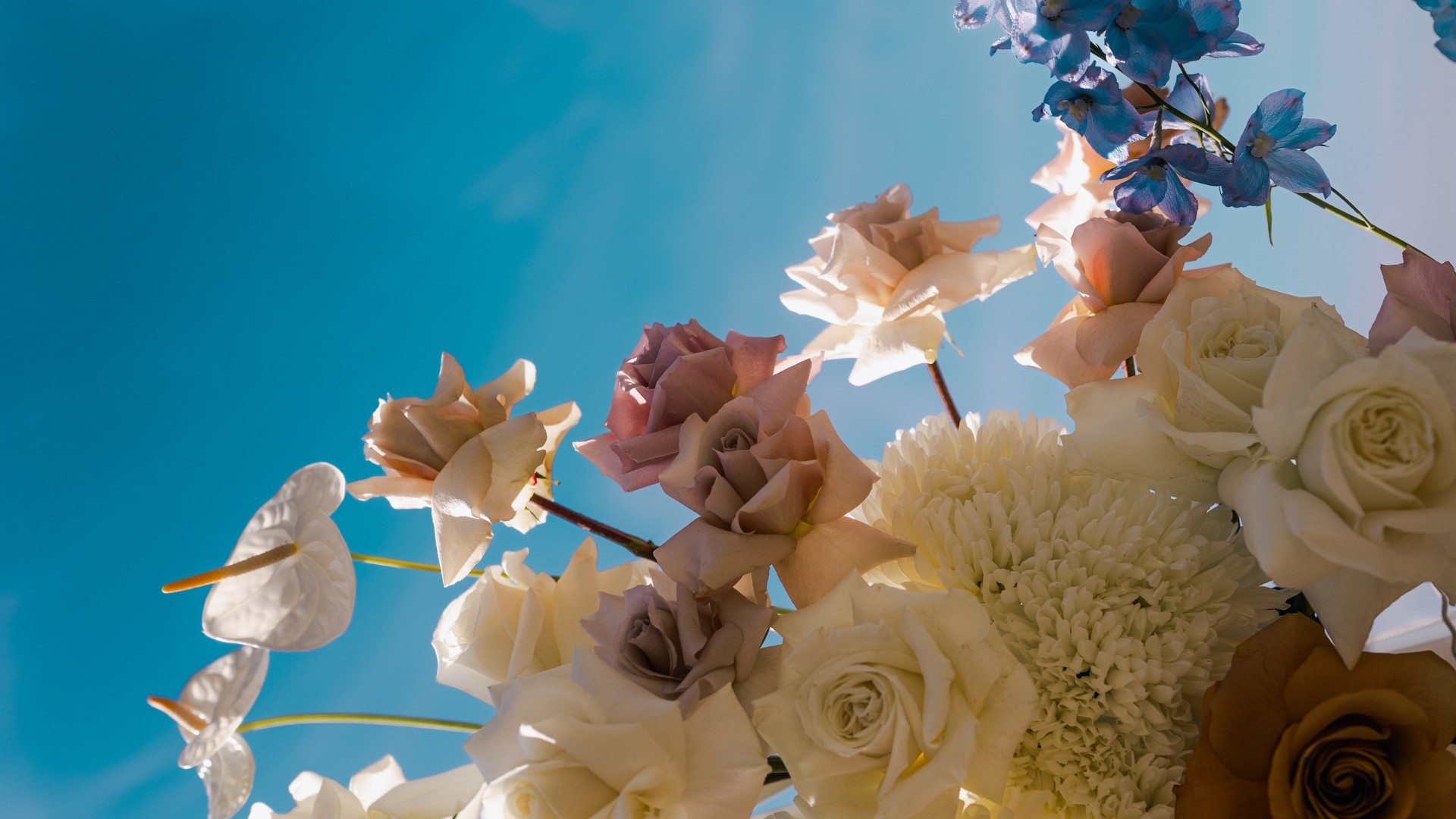 Nahaufnahme eines luftigen Blumengestecks mit weißen und zartrosanen Rosen vor strahlend blauem Himmel – inspiriert von der Leichtigkeit und Vielfalt einer queeren freien Trauung in NRW.
